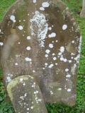 image of grave number 100095